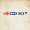  ginezis228