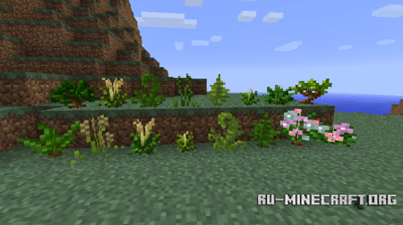  Temperate Plants  Minecraft 1.5.2