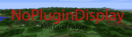  No Plugin Display  minecraft