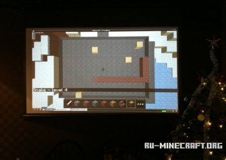   #1 Minecraft Pi