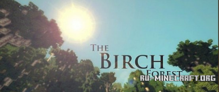  The Birch Biome!  minecraft