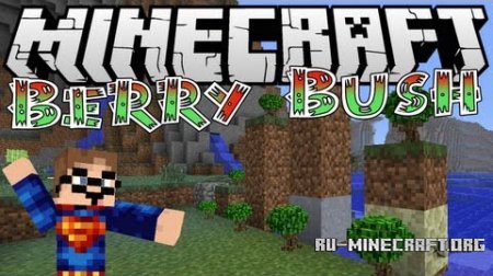  BerryBush  Minecraft 1.6.4
