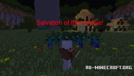   Salvation of the zombie  Minecraft