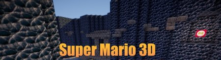   Super Mario 3D  Minecraft
