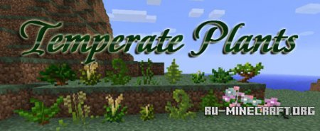 Скачать Temperate Plants Mod для minecraft 1.7.2