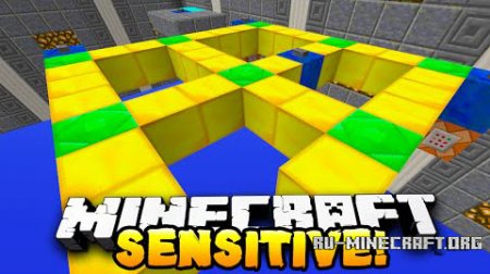  Sensitive Puzzle  Minecraft