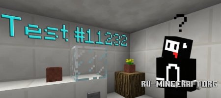  Test #11232  Minecraft