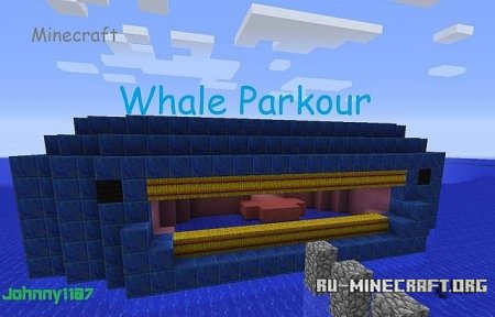  The Whale Adventures  Minecraft