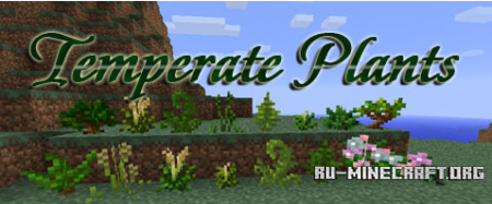   Temperate Plants  Minecraft 1.7.10