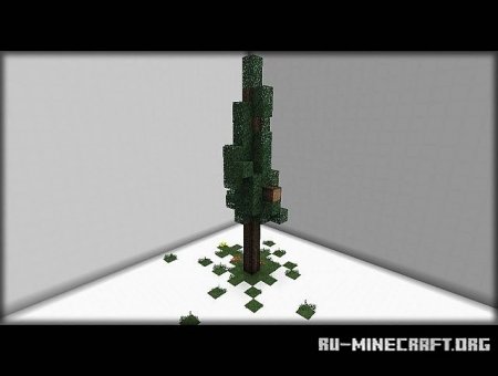  Spruce Tree - 6 Designs / Different Sizes   Minecraft