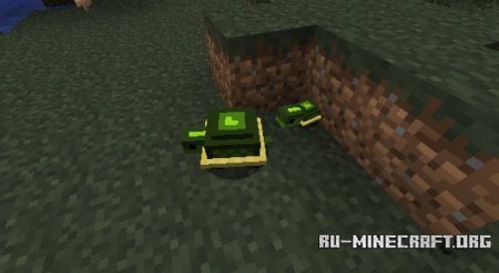  Pet Turtles  Minecraft 1.7.10