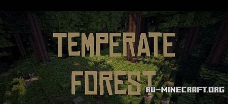  The Temperate Forest | Better Biomes   Minecraft