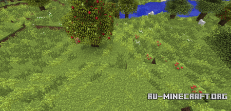  Biomes O' Plenty   Minecraft 1.8