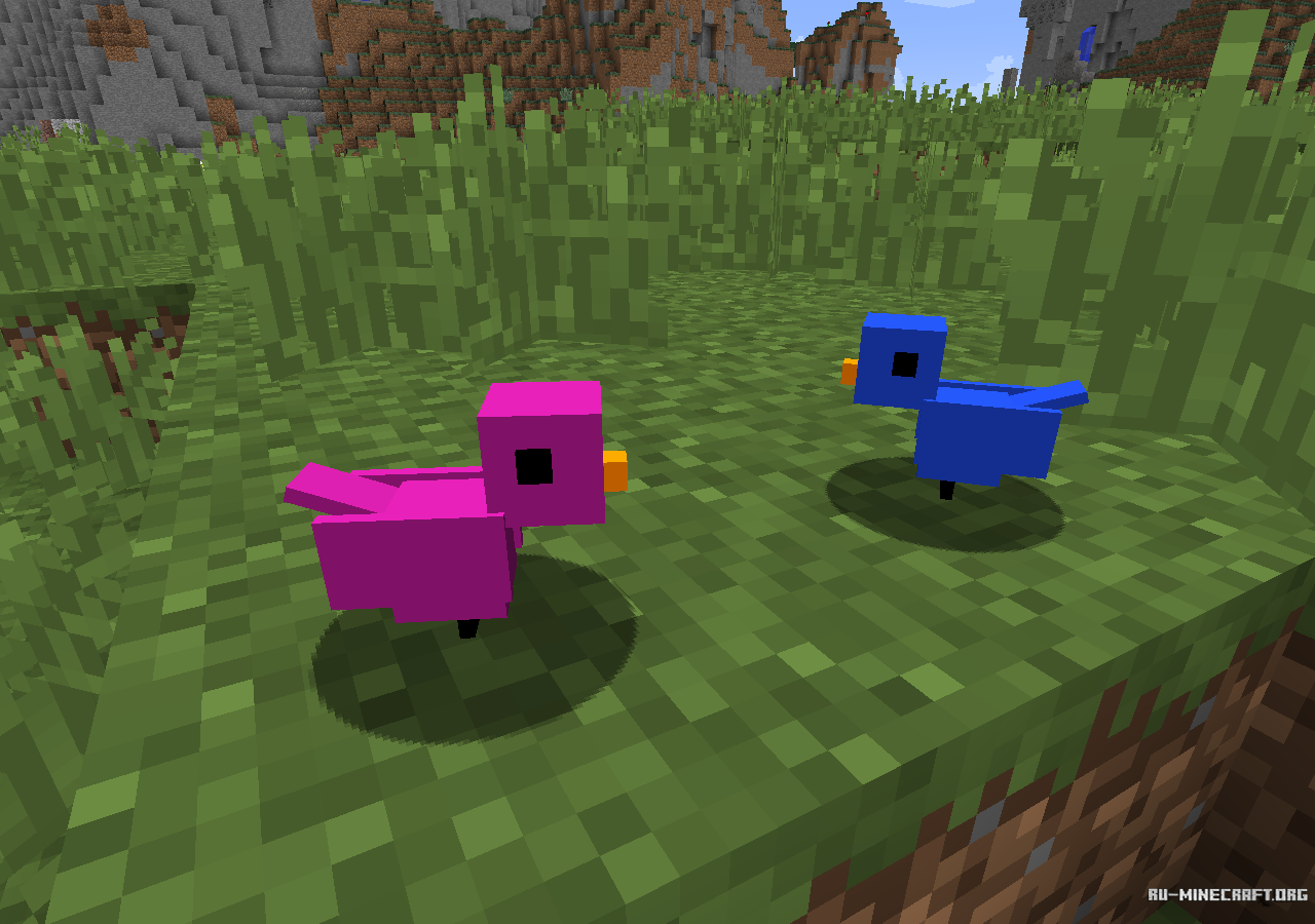 Minecraft birds