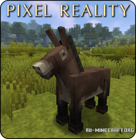  Pixel Reality [16x]  Minecraft 1.8