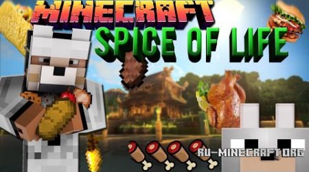  The Spice Of Life  Minecraft 1.8.9