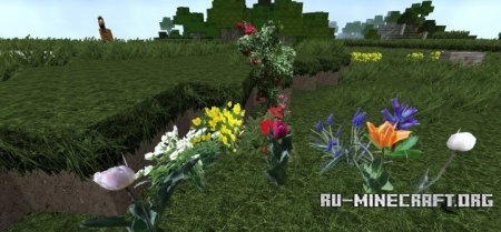  BackyardCraft [256x]  Minecraft 1.8