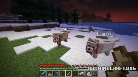  Sophisticated Wolves  Minecraft 1.8.9