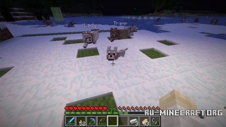 Sophisticated Wolves  Minecraft 1.8.9