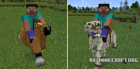  Horses  Minecraft PE 0.14.1