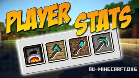  Player Stats  Minecraft 1.9