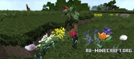  BackyardCraft [64x]  Minecraft 1.8.8