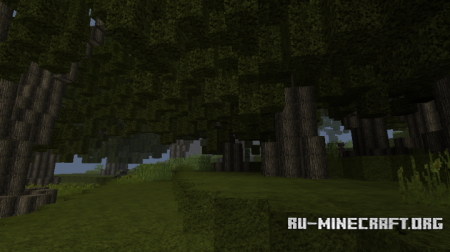  Dense Forest Island Adventure  Minecraft