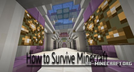  How to Survive  Minecraft
