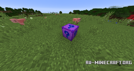  Mystery Blocks  Minecraft 1.10.2