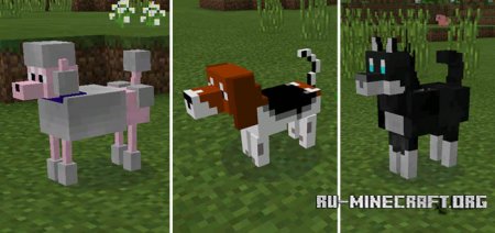  Doggy  Minecraft PE 0.15