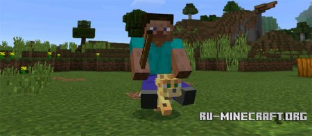  Driveable Mobs  Minecraft PE 0.15