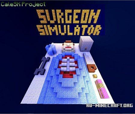  Surgeon Simulator  Minecraft