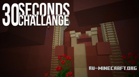  30 Seconds Challenge  Minecraft
