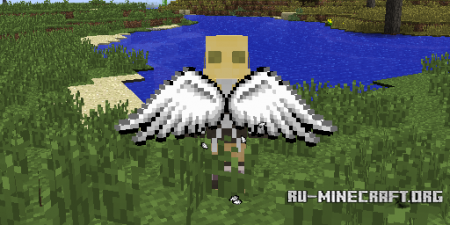  Cosmetic Wings  Minecraft 1.10.2