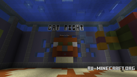  Cat Fight  Minecraft