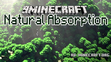  Natural Absorption  Minecraft 1.10.2