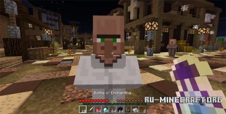 Villager Companion  Minecraft PE 0.17.0
