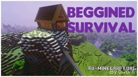  Beggined Survival  Minecraft