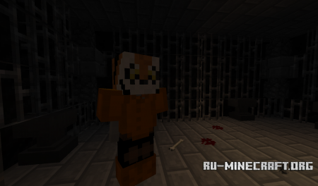  The Lady & The Tiger  Minecraft