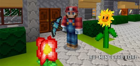  Mario Plus  Minecraft PE 1.0.0