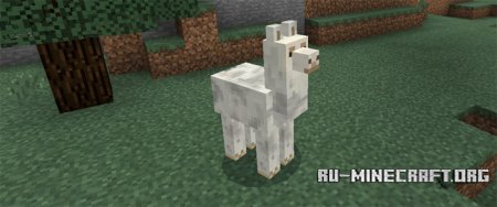  Llama  Minecraft PE 1.0.0