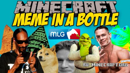  Meme in A Bottle  Minecraft 1.11.2