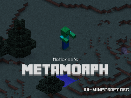 MetaMorph  Minecraft 1.11.2