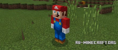  Mario Craft  Minecraft PE 1.0.0