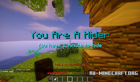  Hide and Seek  Minecraft