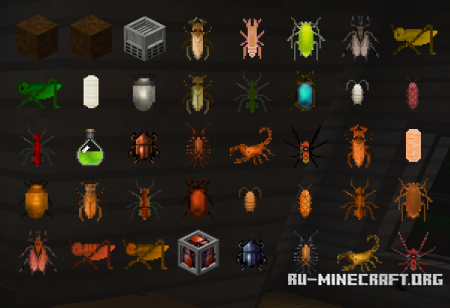  Edible Bugs  Minecraft 1.11.2