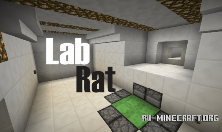  Lab Rat  Minecraft