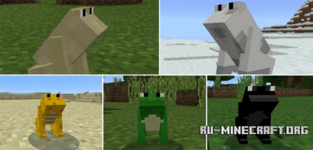  Mine-Frog  Minecraft PE 1.0.0