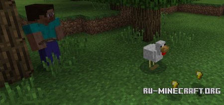  Golden Chicken  Minecraft PE 1.0.0