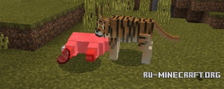  Tiger  Minecraft PE 1.0.0